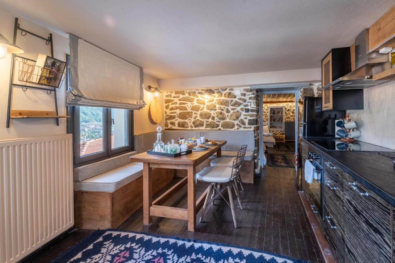 Dandy Villas Metsovo-Mezzo-Down Town-Up 5 المظهر الخارجي الصورة